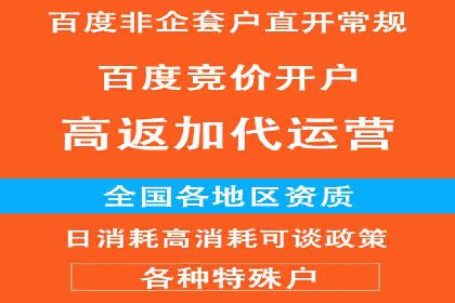 某品牌SEM代运营的成长历程与启示
